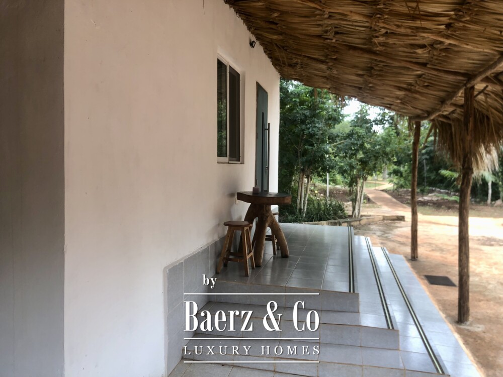 Foto 22 1000w