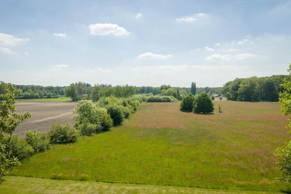 Foto 27 1000w